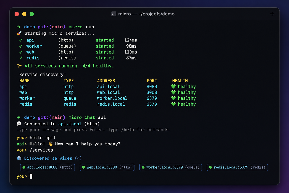 Terminal showing micro run and micro chat
